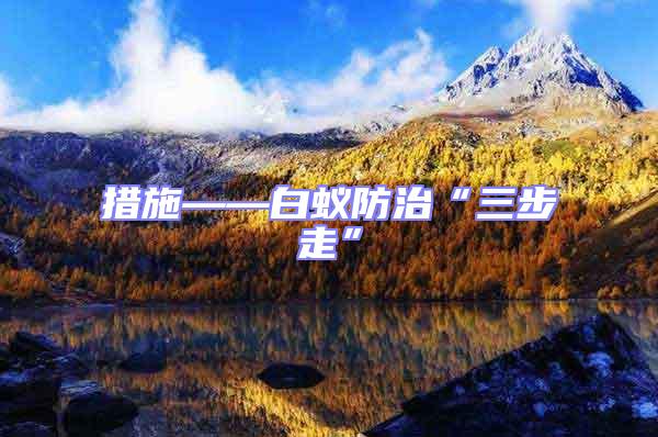 措施——白蟻防治“三步走”