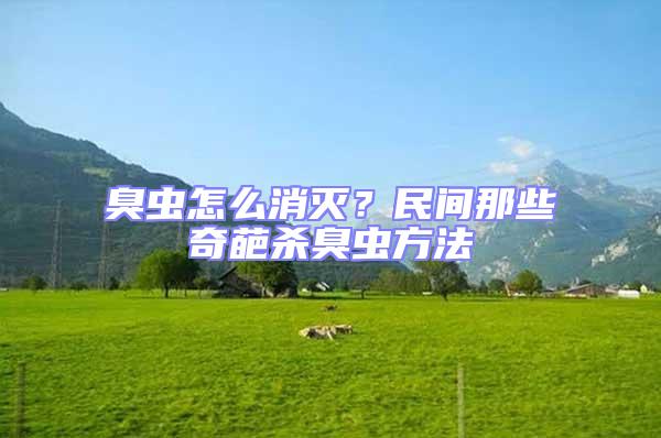 臭蟲怎么消滅？民間那些奇葩殺臭蟲方法