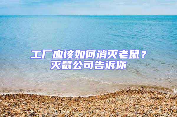 工廠應(yīng)該如何消滅老鼠?滅鼠公司告訴你