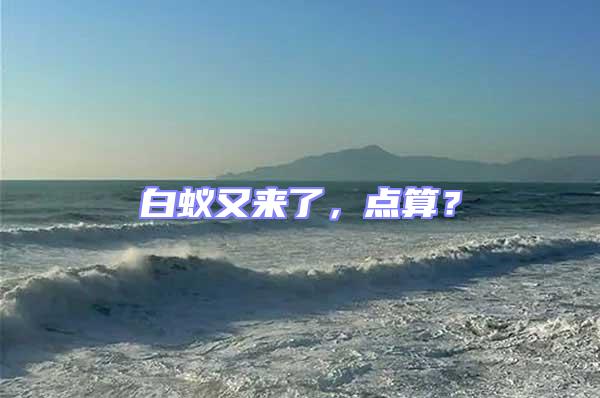 白蟻又來了,點算?