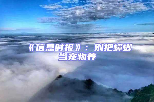 《信息時報》:別把蟑螂當寵物養