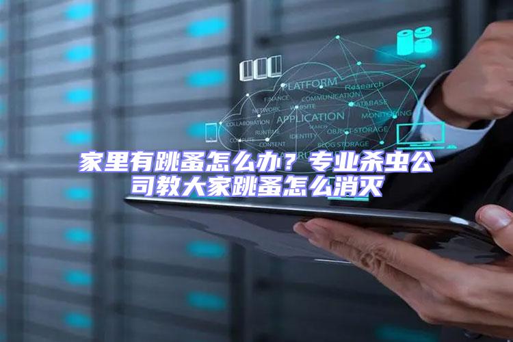 家里有跳蚤怎么辦?專業殺蟲公司教大家跳蚤怎么消滅