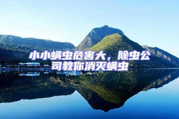 小小螨蟲危害大，除蟲公司教你消滅螨蟲