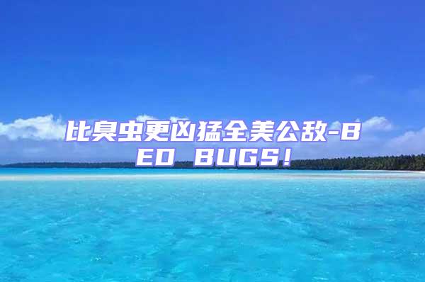 比臭蟲更兇猛全美公敵-BED BUGS!
