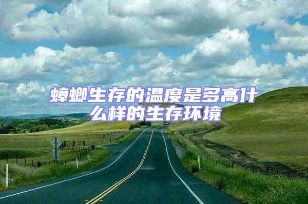 蟑螂生存的溫度是多高什么樣的生存環(huán)境