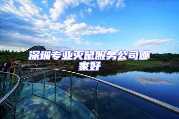 深圳專(zhuān)業(yè)滅鼠服務(wù)公司哪家好