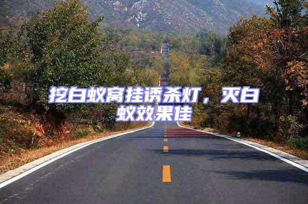 挖白蟻窩掛誘殺燈,滅白蟻效果佳