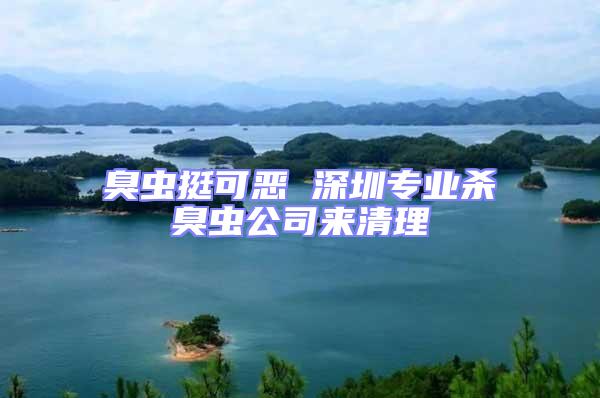 臭蟲挺可惡 深圳專業(yè)殺臭蟲公司來清理