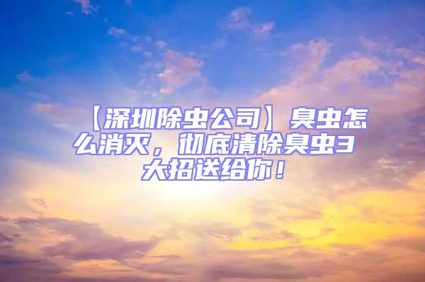 【深圳除蟲公司】臭蟲怎么消滅，徹底清除臭蟲3大招送給你！
