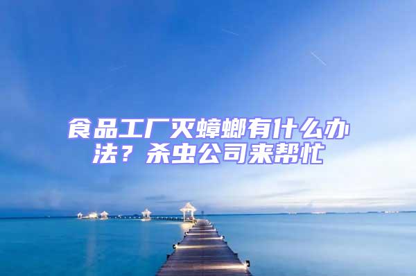 食品工廠滅蟑螂有什么辦法？殺蟲公司來幫忙
