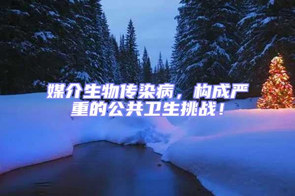 媒介生物傳染病,構成嚴重的公共衛生挑戰!