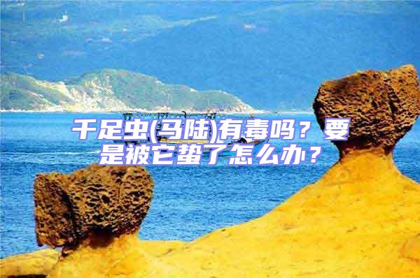 千足蟲(馬陸)有毒嗎？要是被它蟄了怎么辦？