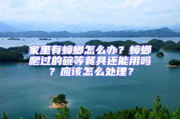 家里有蟑螂怎么辦？蟑螂爬過的碗等餐具還能用嗎？應(yīng)該怎么處理？