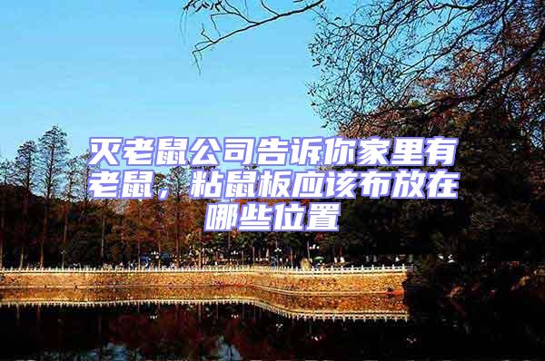 滅老鼠公司告訴你家里有老鼠,粘鼠板應(yīng)該布放在哪些位置