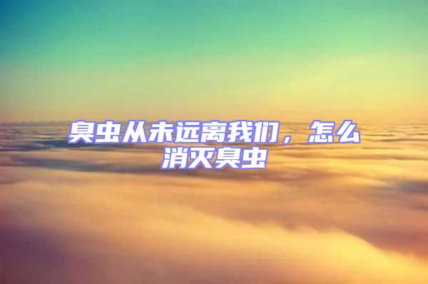 臭蟲從未遠離我們,怎么消滅臭蟲