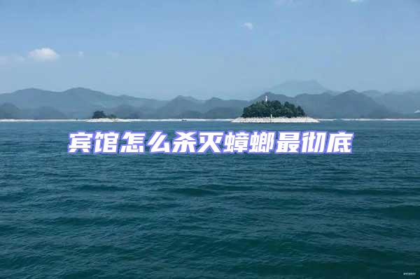 賓館怎么殺滅蟑螂最徹底