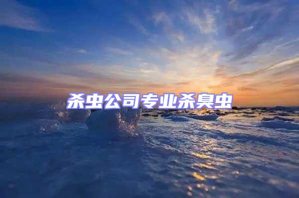 殺蟲(chóng)公司專(zhuān)業(yè)殺臭蟲(chóng)