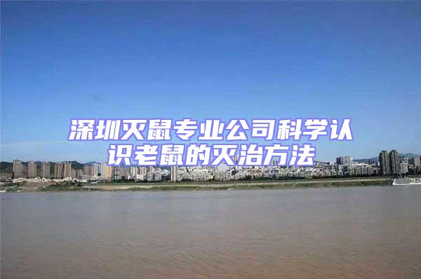 深圳滅鼠專業(yè)公司科學(xué)認(rèn)識(shí)老鼠的滅治方法