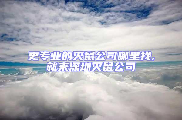 更專業的滅鼠公司哪里找,就來深圳滅鼠公司