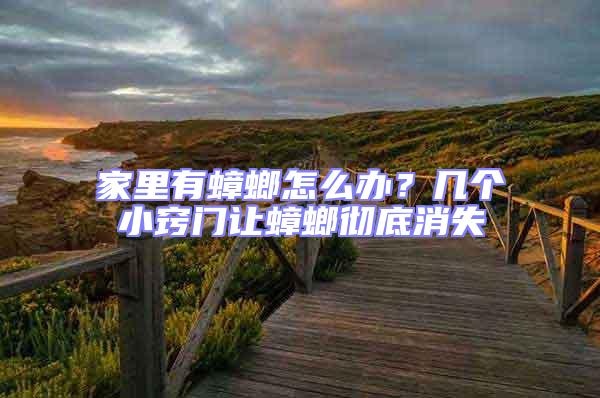 家里有蟑螂怎么辦?幾個小竅門讓蟑螂徹底消失