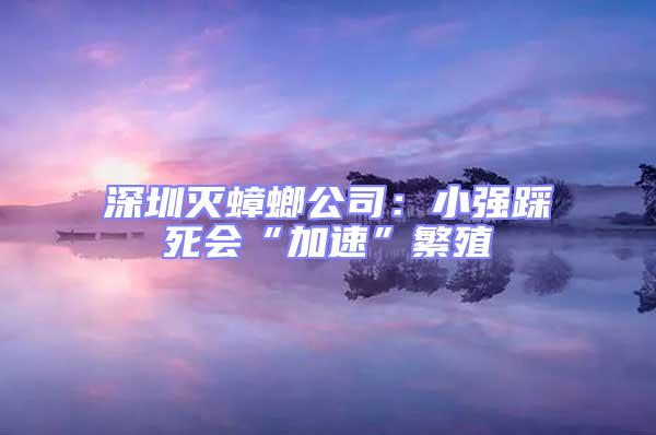 深圳滅蟑螂公司:小強(qiáng)踩死會(huì)“加速”繁殖