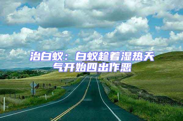 治白蟻:白蟻趁著濕熱天氣開始四出作惡