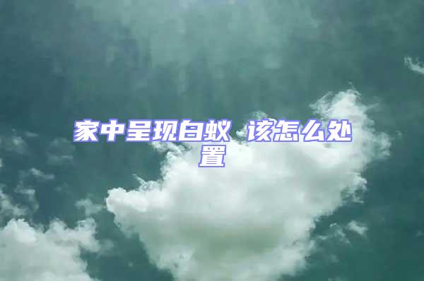 家中呈現白蟻 該怎么處置