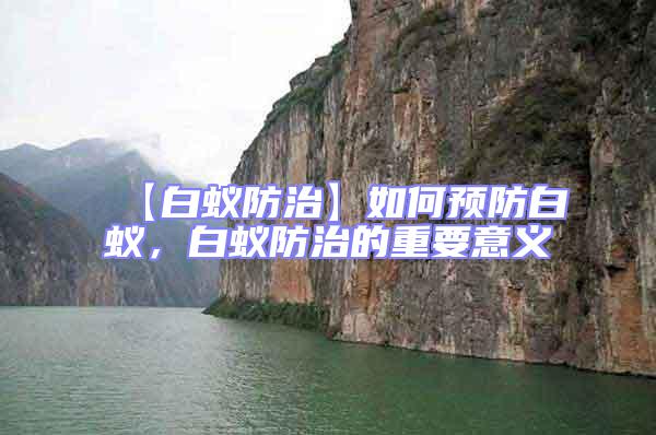 【白蟻防治】如何預防白蟻,白蟻防治的重要意義