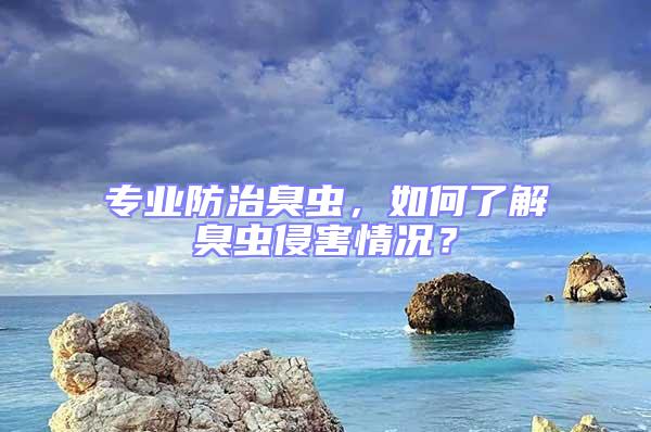 專業(yè)防治臭蟲，如何了解臭蟲侵害情況？