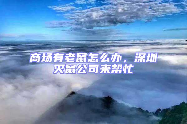 商場有老鼠怎么辦,深圳滅鼠公司來幫忙