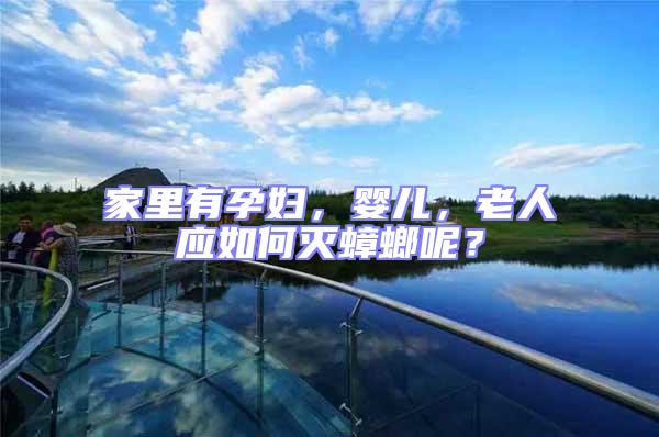 家里有孕婦,嬰兒,老人應(yīng)如何滅蟑螂呢?