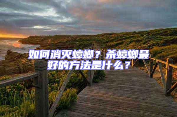 如何消滅蟑螂?殺蟑螂最好的方法是什么?