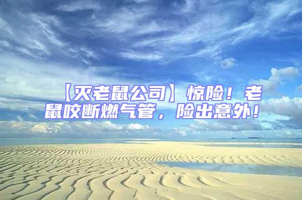 【滅老鼠公司】驚險(xiǎn)!老鼠咬斷燃?xì)夤埽U(xiǎn)出意外!