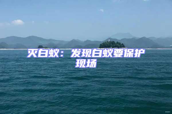 滅白蟻:發現白蟻要保護現場