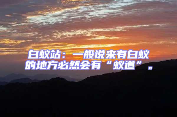 白蟻站：一般說來有白蟻的地方必然會有“蟻道”。