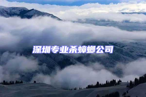 深圳專業殺蟑螂公司