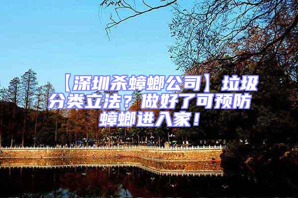 【深圳殺蟑螂公司】垃圾分類立法？做好了可預防蟑螂進入家！