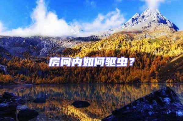 房間內如何驅蟲？