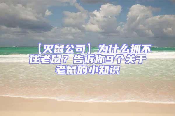 【滅鼠公司】為什么抓不住老鼠？告訴你9個(gè)關(guān)于老鼠的小知識