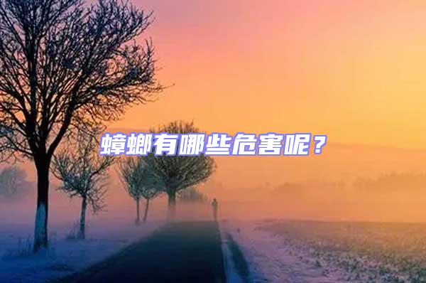 蟑螂有哪些危害呢?