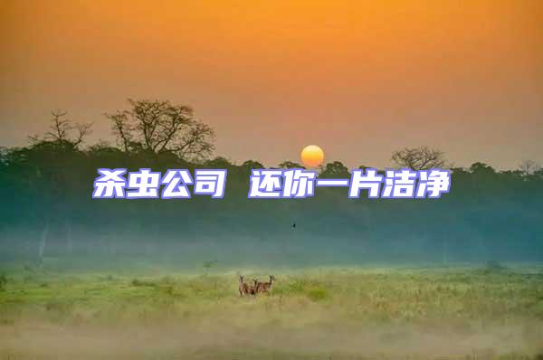 殺蟲(chóng)公司 還你一片潔凈