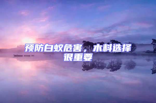 預防白蟻危害,木料選擇很重要