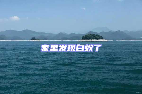 家里發現白蟻了