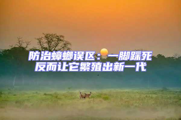 防治蟑螂誤區(qū):一腳踩死反而讓它繁殖出新一代