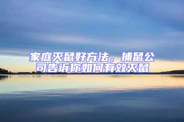 家庭滅鼠好方法,捕鼠公司告訴你如何有效滅鼠