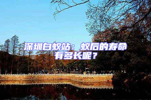 深圳白蟻站:蟻后的壽命有多長(zhǎng)呢?