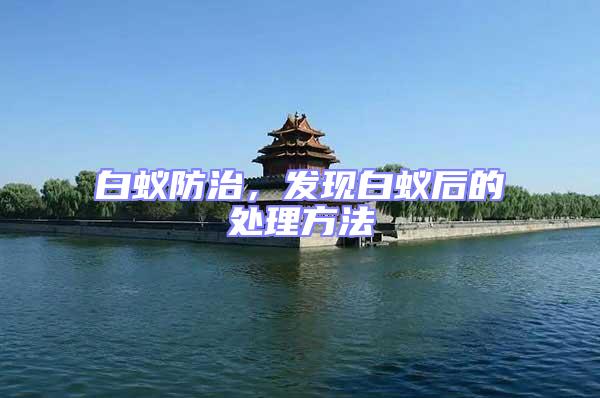 白蟻防治,發現白蟻后的處理方法