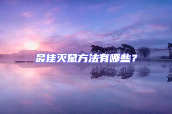 最佳滅鼠方法有哪些？