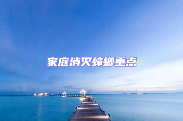 家庭消滅蟑螂重點