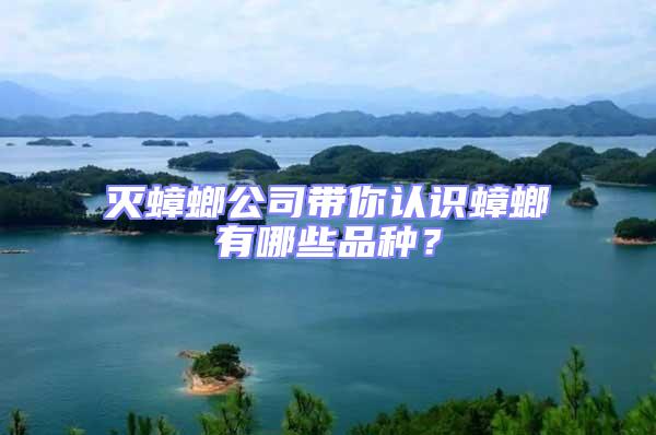 滅蟑螂公司帶你認(rèn)識(shí)蟑螂有哪些品種？